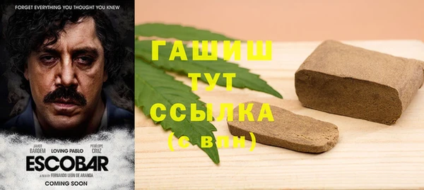 ГАЛЛЮЦИНОГЕННЫЕ ГРИБЫ Новозыбков