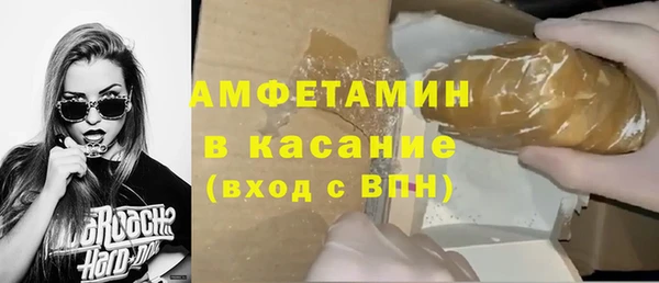 сатива Новокубанск