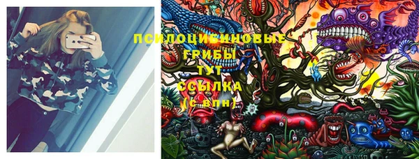 ГАЛЛЮЦИНОГЕННЫЕ ГРИБЫ Новозыбков