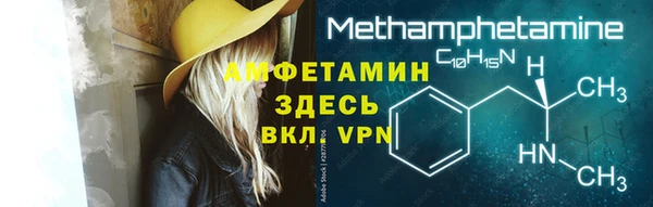 сатива Новокубанск