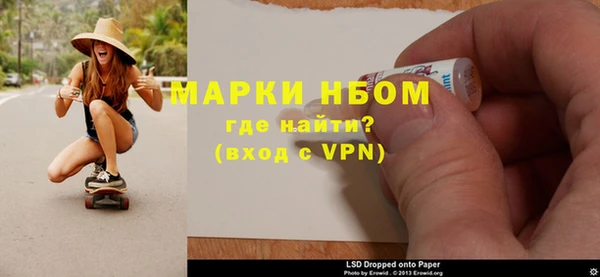 сатива Новокубанск