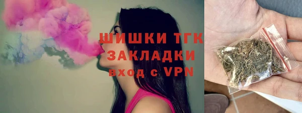 ГАЛЛЮЦИНОГЕННЫЕ ГРИБЫ Новозыбков