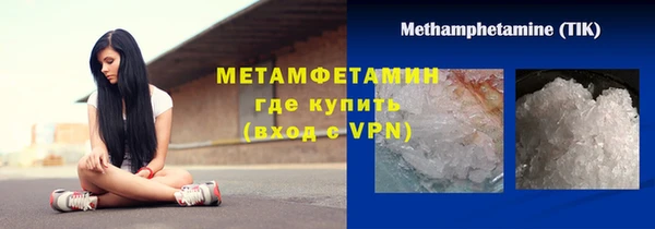 сатива Новокубанск