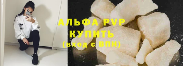 сатива Новокубанск