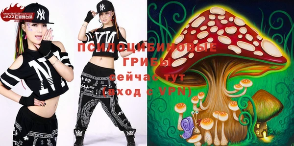 ГАЛЛЮЦИНОГЕННЫЕ ГРИБЫ Новозыбков