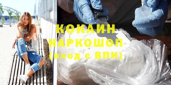 сатива Новокубанск