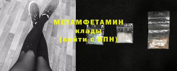 сатива Новокубанск