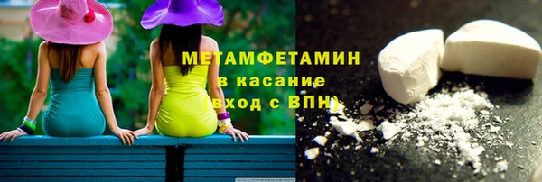 сатива Новокубанск